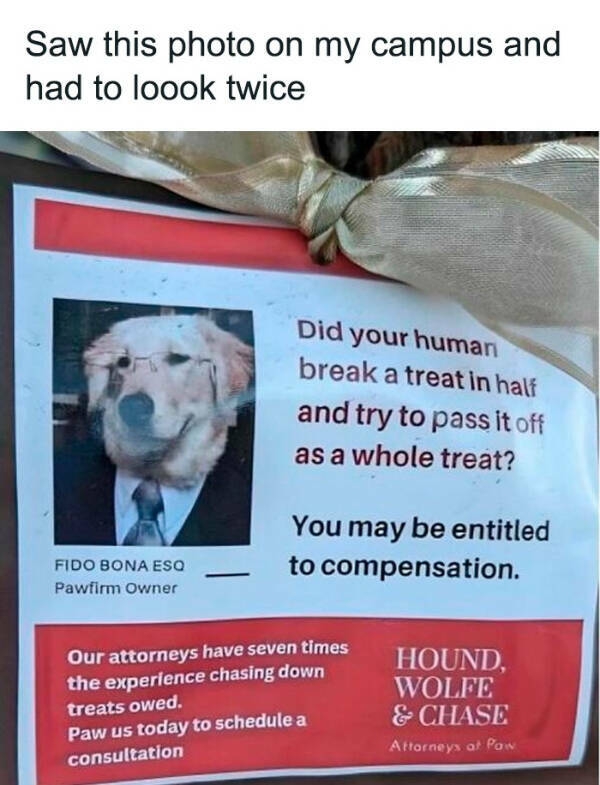 Life’s Too Short To Take Seriously Life’s Too Short To Take Seriously