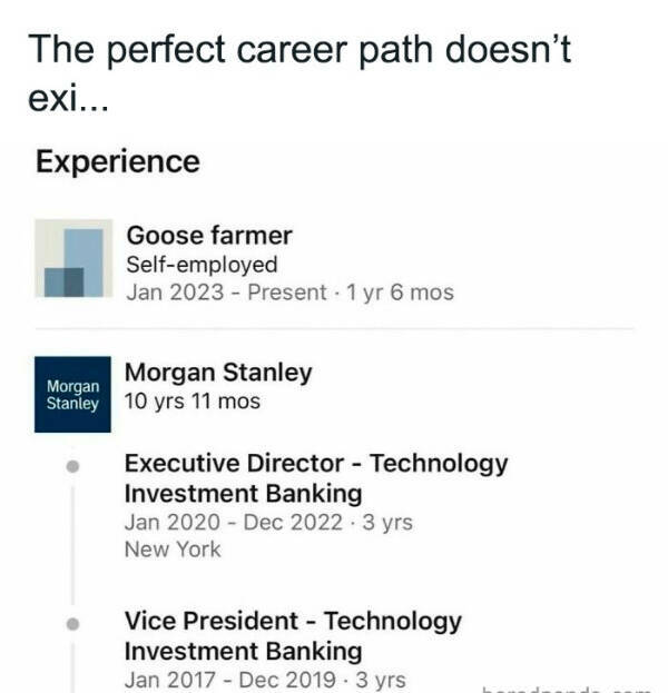 Life’s Too Short To Take Seriously Life’s Too Short To Take Seriously