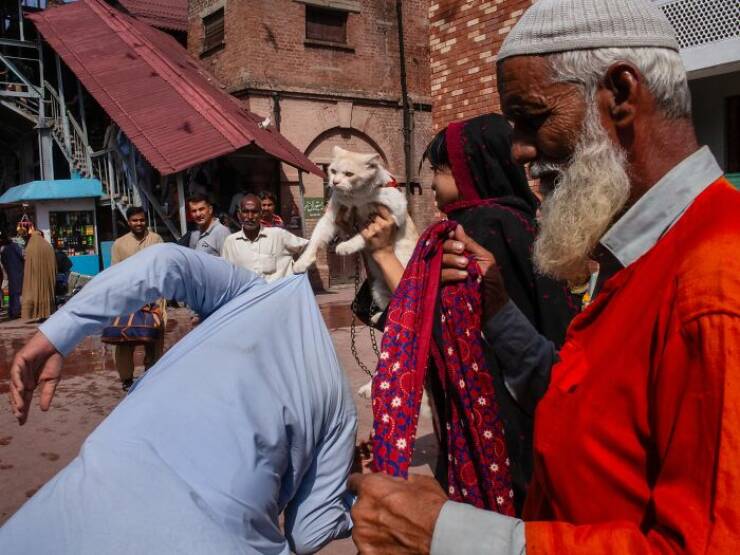 Raw And Real: Street Photography That Speaks Without Words