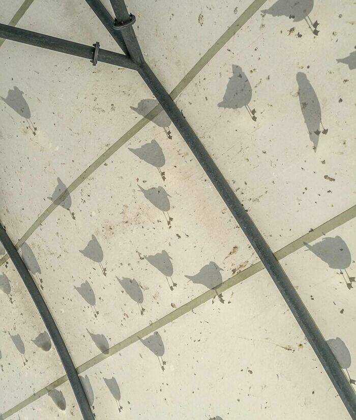 Shadows So Strange They’ll Make You Do A Double Take