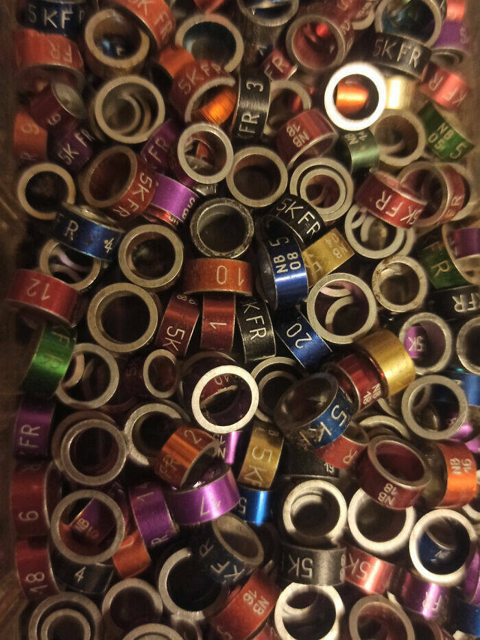 Unidentified Objects That The Internet Helped Solve