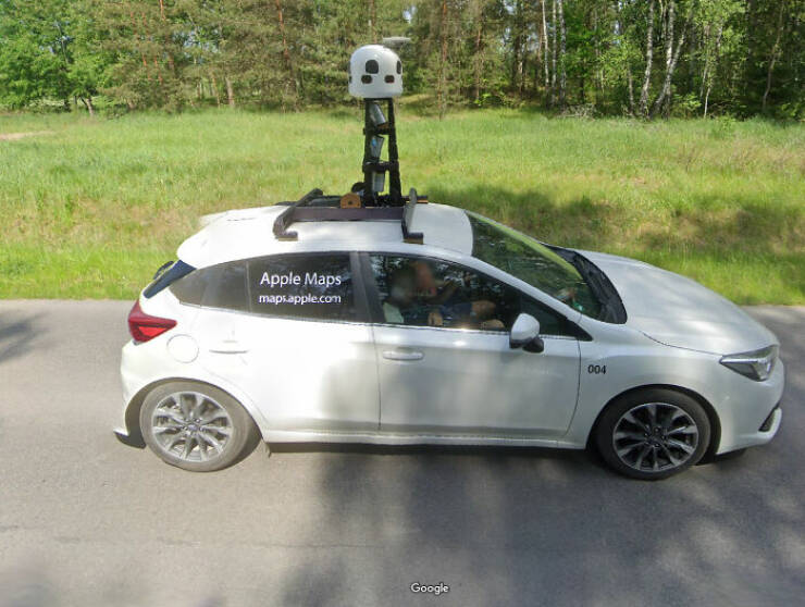 Wild Moments People Spotted On Google Maps