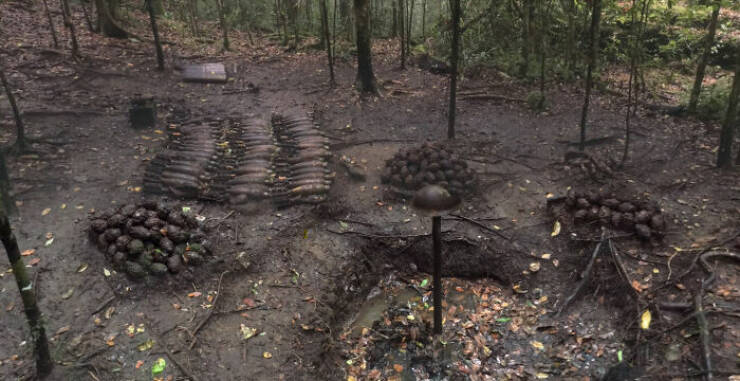 Wild Moments People Spotted On Google Maps