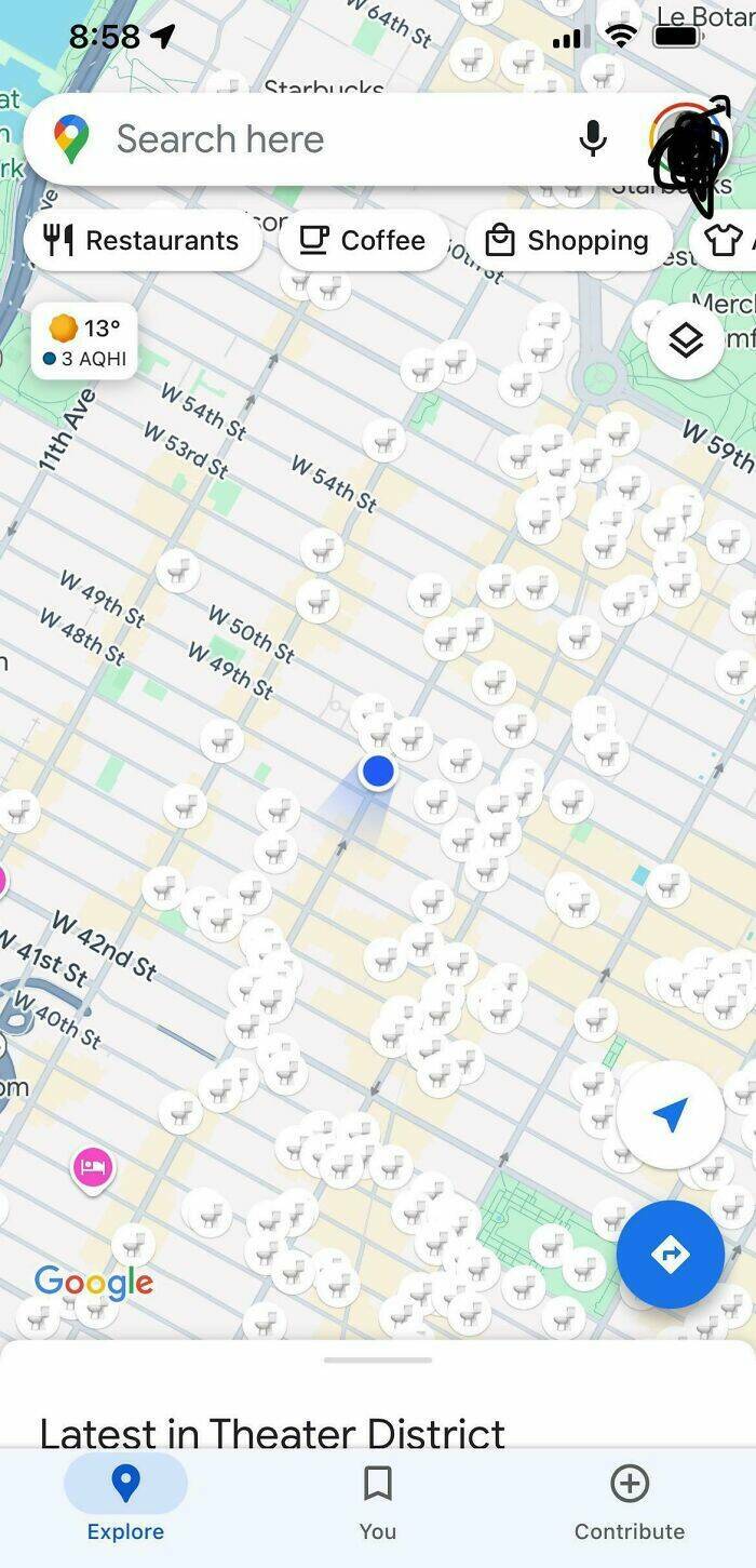 Wild Moments People Spotted On Google Maps
