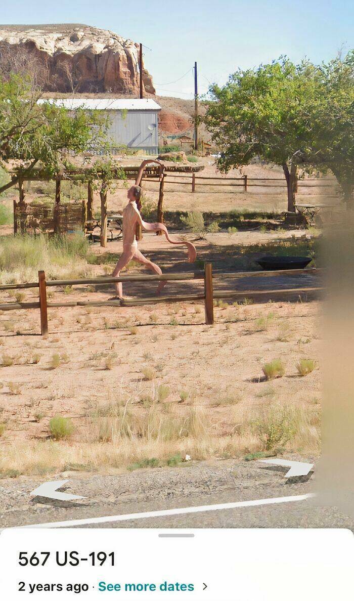 Wild Moments People Spotted On Google Maps