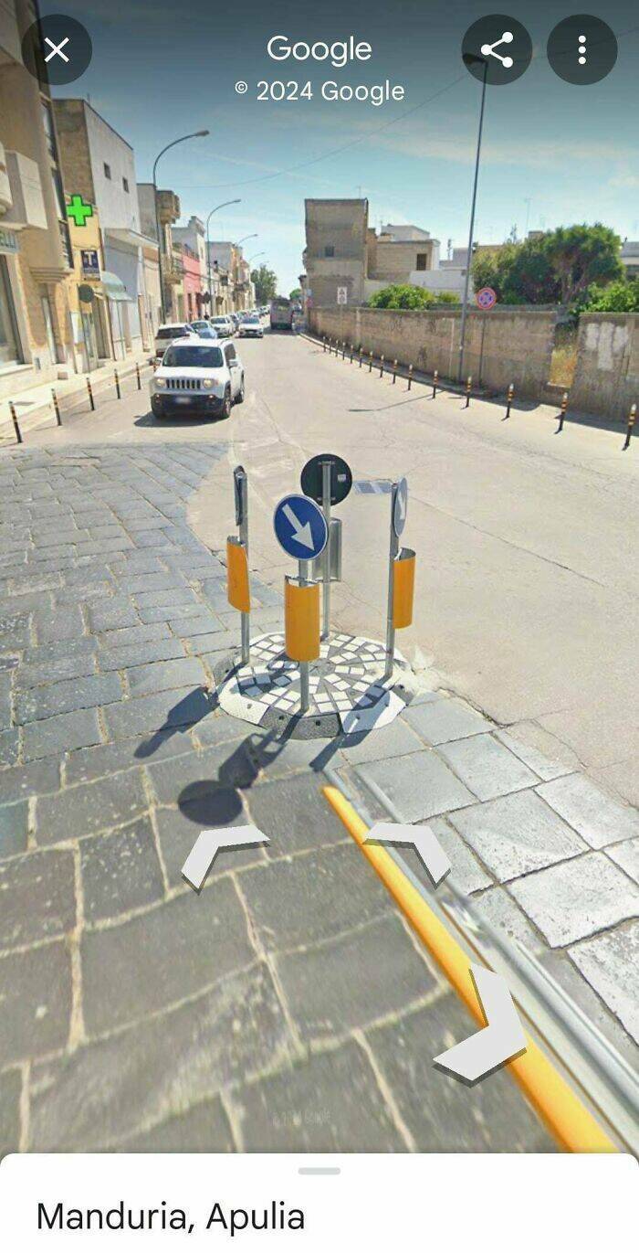 Wild Moments People Spotted On Google Maps