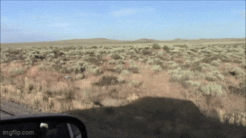 Daily Gifdump Daily Gifdump