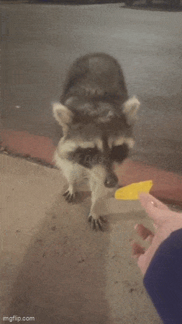 Daily Gifdump Daily Gifdump