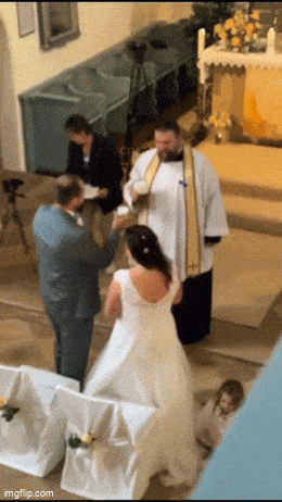 Daily Gifdump Daily Gifdump