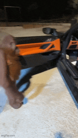 Daily Gifdump Daily Gifdump