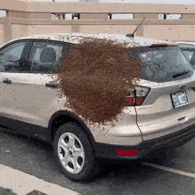 Daily Gifdump Daily Gifdump