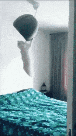 Daily Gifdump Daily Gifdump