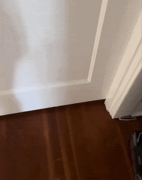 Daily Gifdump Daily Gifdump