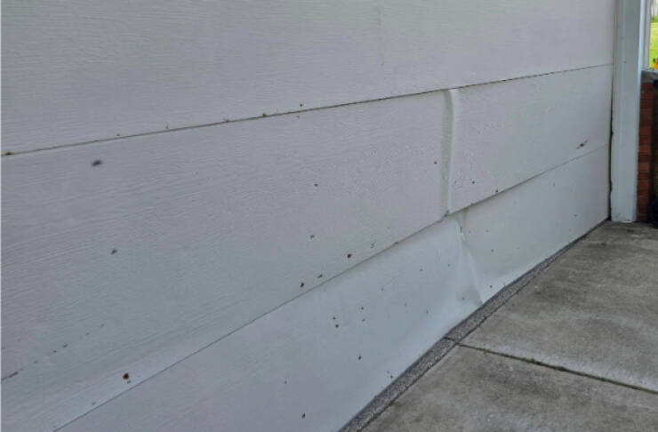 Another Day, Another Existential Crisis