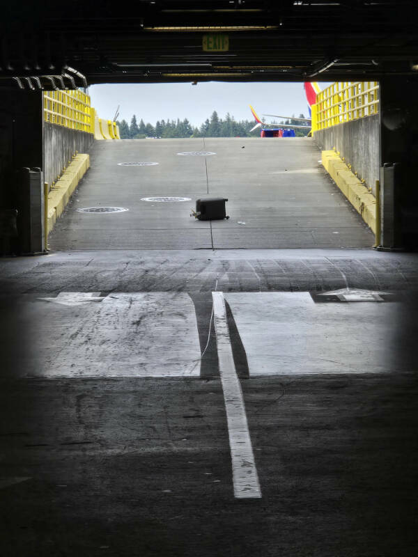 Another Day, Another Existential Crisis