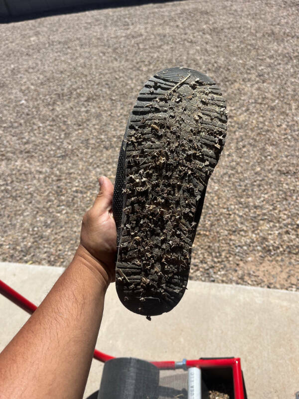 Another Day, Another Existential Crisis