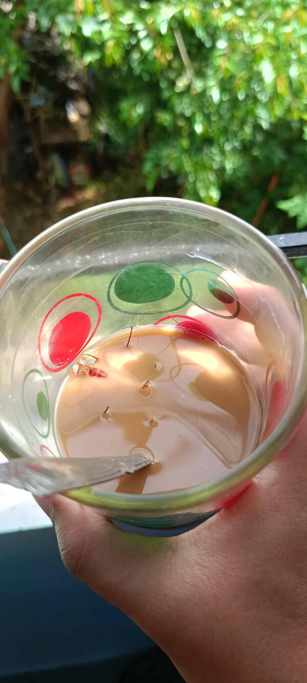 Another Day, Another Existential Crisis