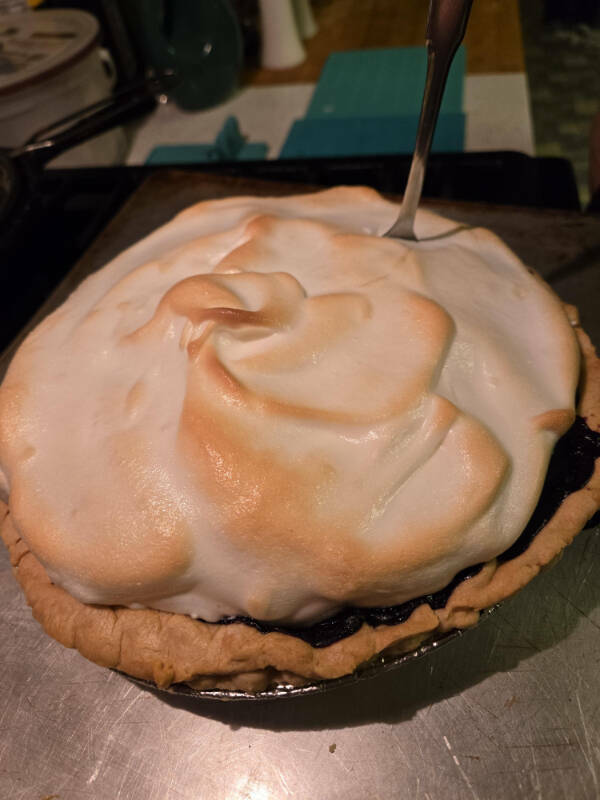 Another Day, Another Existential Crisis