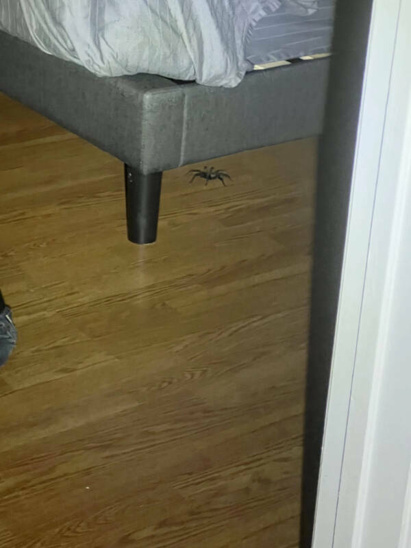 Another Day, Another Existential Crisis