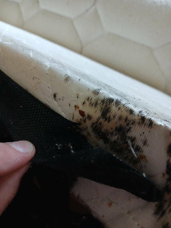 Another Day, Another Existential Crisis