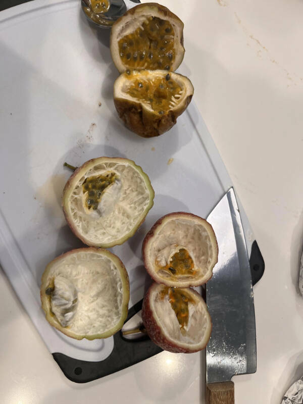 Another Day, Another Existential Crisis