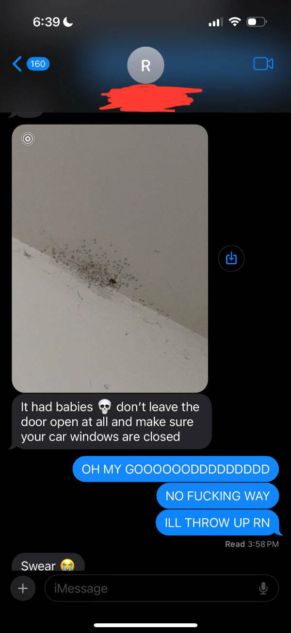 Another Day, Another Existential Crisis