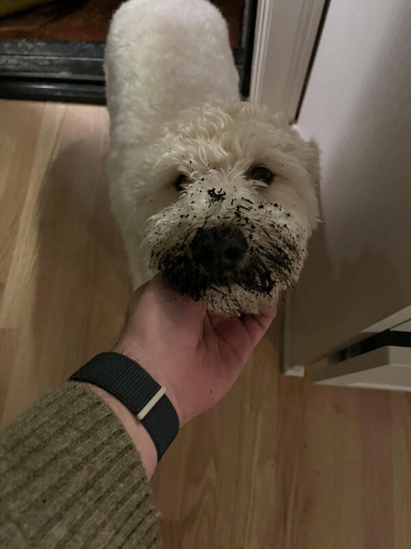 Another Day, Another Existential Crisis