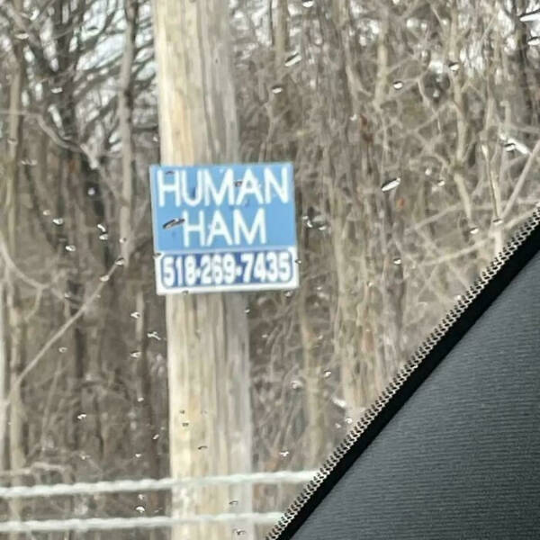 Any Explanation Would Be Wildly Appreciated