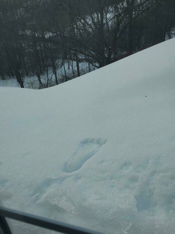 Any Explanation Would Be Wildly Appreciated