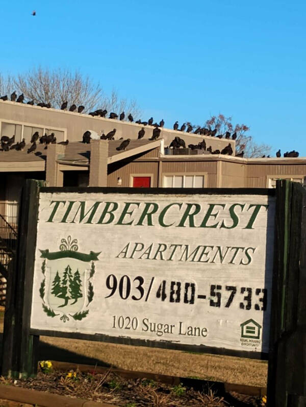 Any Explanation Would Be Wildly Appreciated