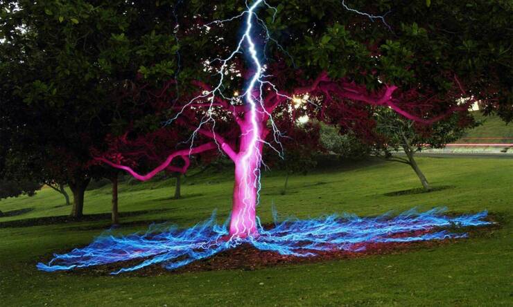 Daily Picdump Daily Picdump