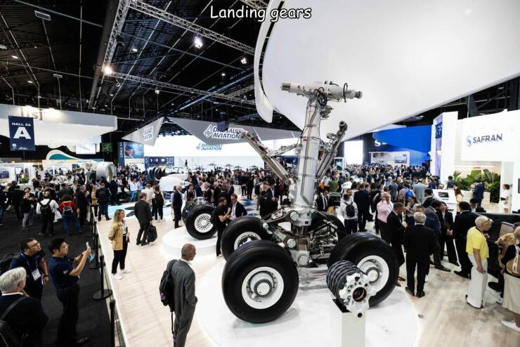 Daily Picdump Daily Picdump