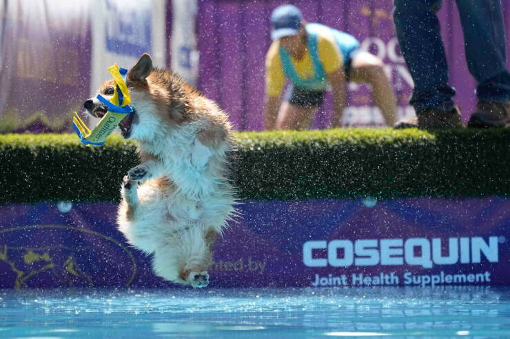 Daily Picdump Daily Picdump