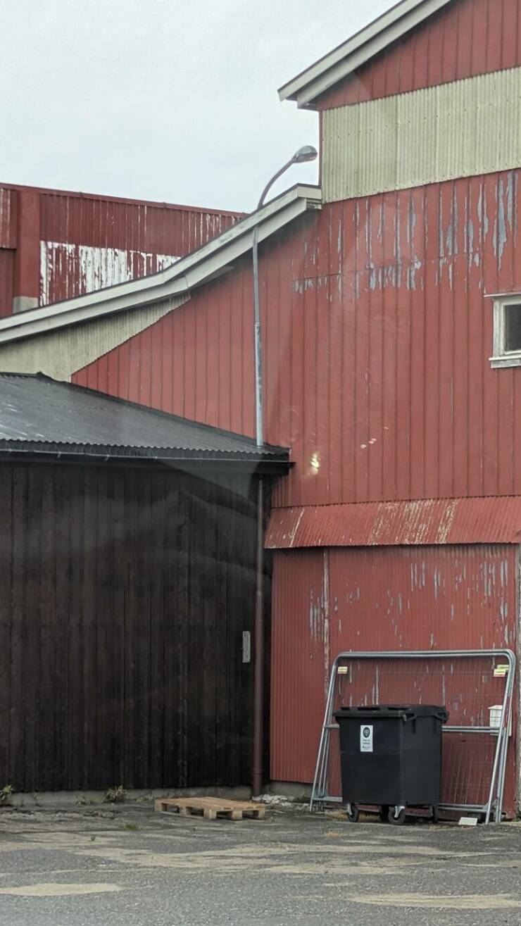 Daily Picdump Daily Picdump