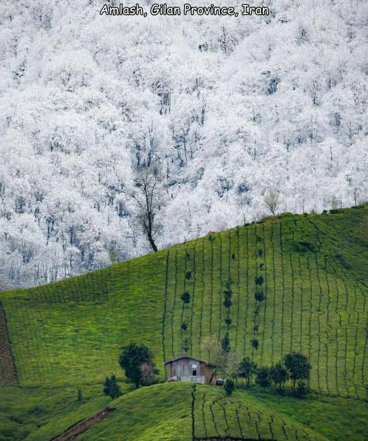 Daily Picdump Daily Picdump