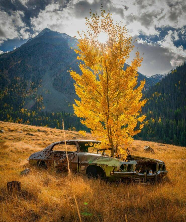 Daily Picdump Daily Picdump