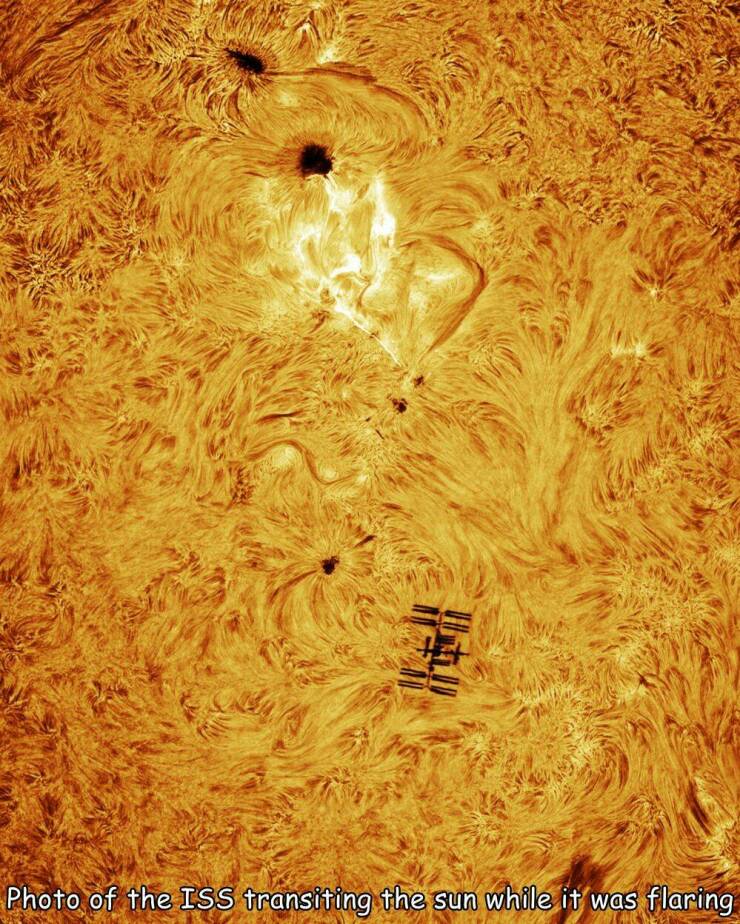 Daily Picdump Daily Picdump