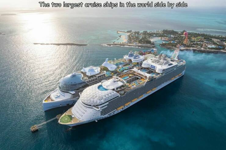 Daily Picdump Daily Picdump