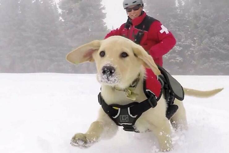 Daily Picdump Daily Picdump