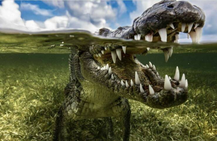 Daily Picdump Daily Picdump