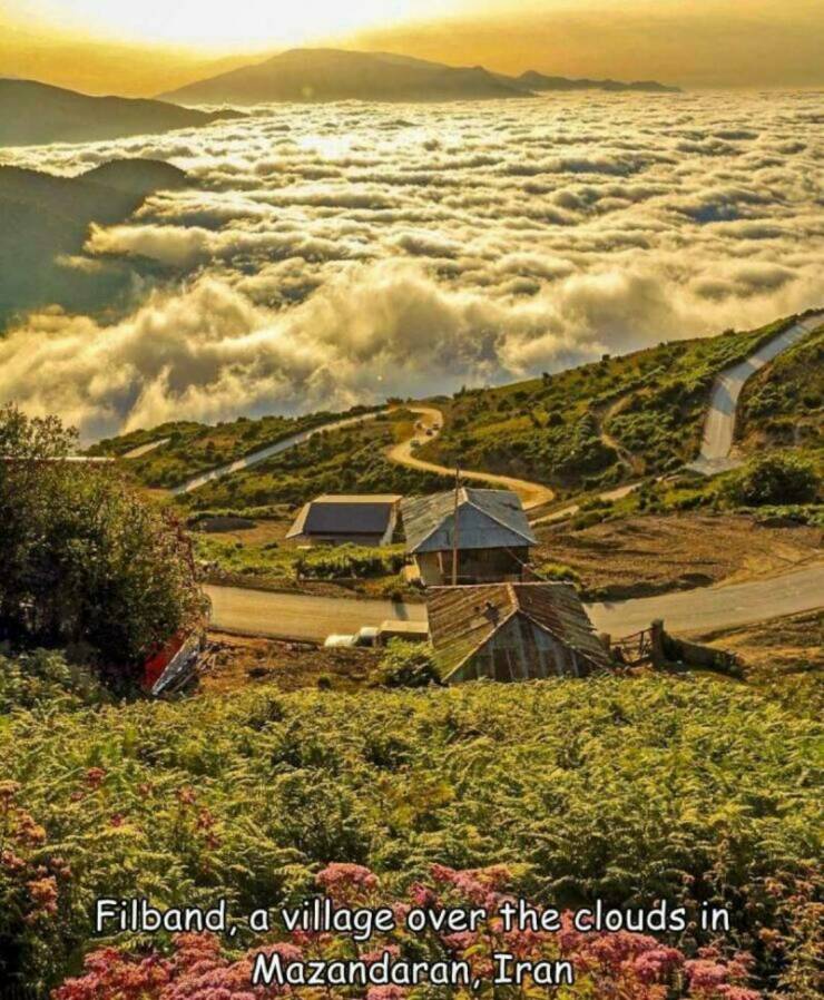 Daily Picdump Daily Picdump