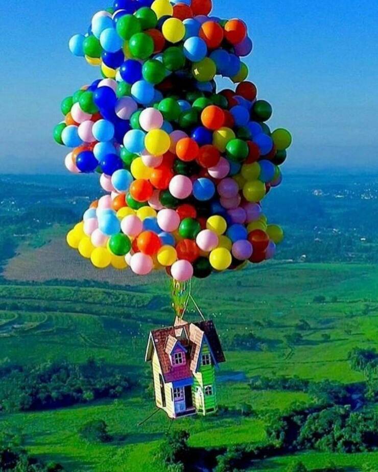 Daily Picdump Daily Picdump