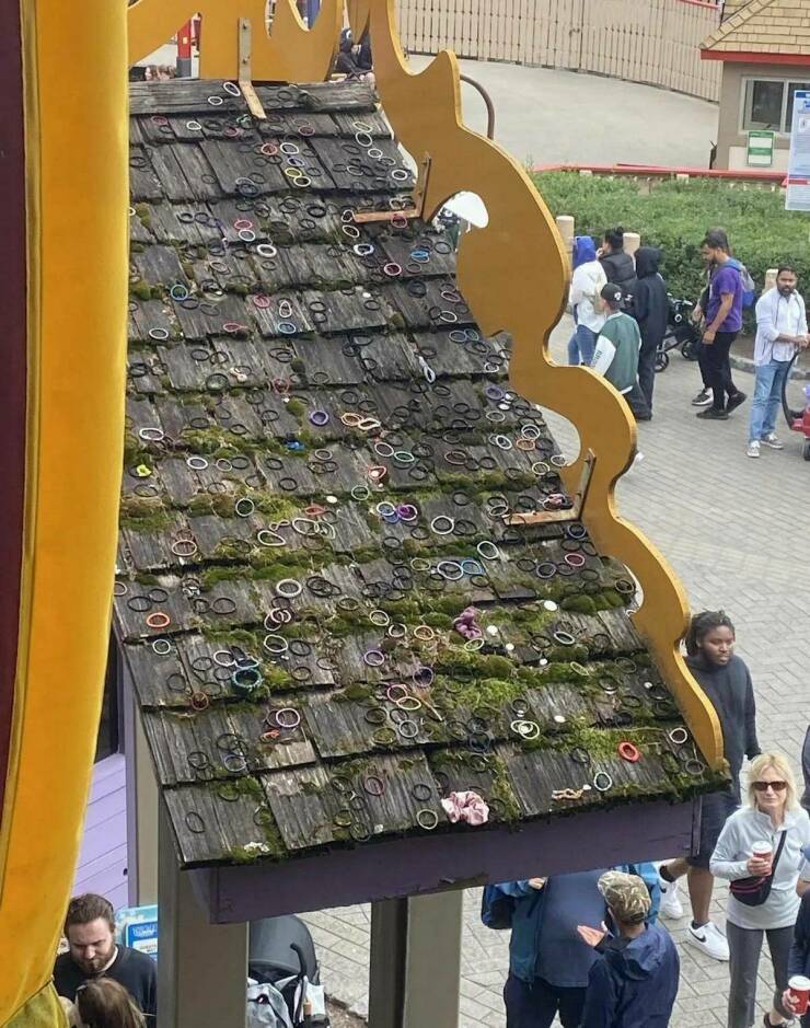 Daily Picdump Daily Picdump