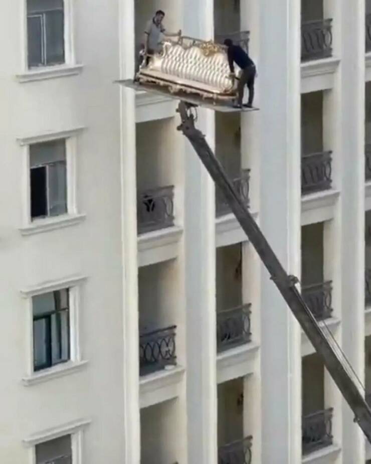 Daily Picdump Daily Picdump