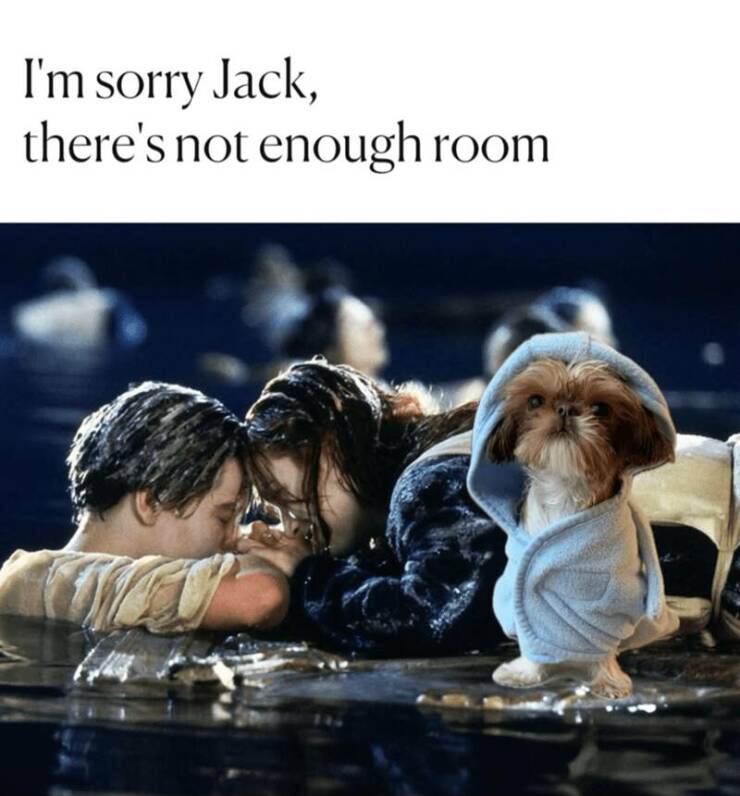 Funny Picdump Funny Picdump