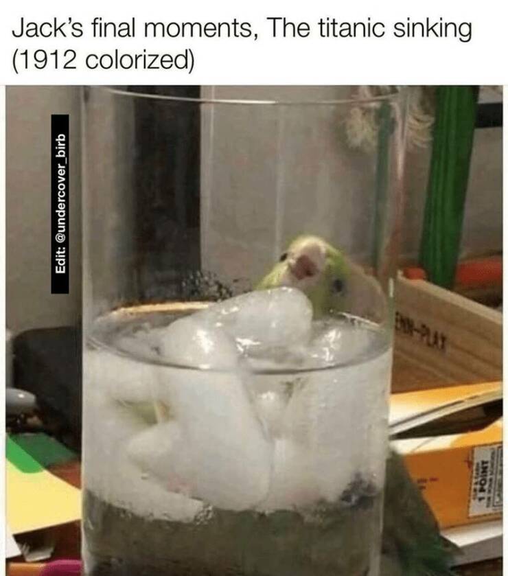 Funny Picdump Funny Picdump