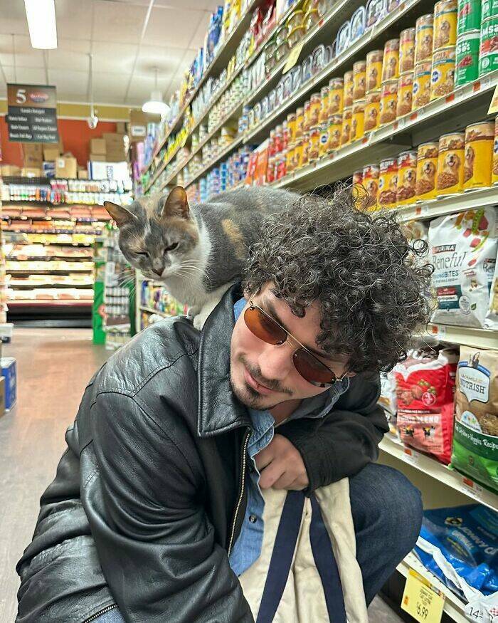 NYC’s Coolest Shopkeepers Are Actually Cats