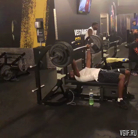 Daily Gifdump Daily Gifdump