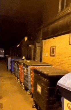 Daily Gifdump Daily Gifdump