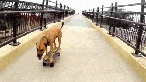 Daily Gifdump Daily Gifdump